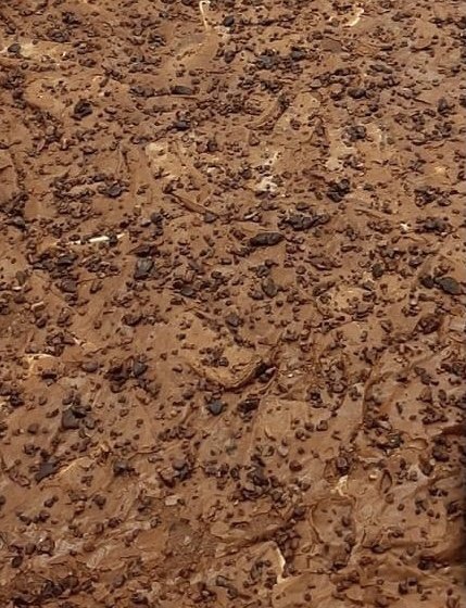 Een groot stuk Mokka (Koffie-Hazelnoot) Brownie, voordat die in stukken wordt gesneden