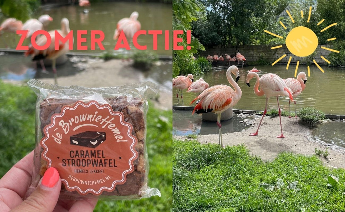 Doe mee met de Zomeractie!